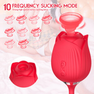 Duo Delight Sucking Vibrator - Image 5