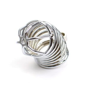 CHASTITY BELT 2 LEAKED WITH RING AND PADLOCK - Image 2