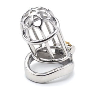 Chastity Locking Cage - Image 4