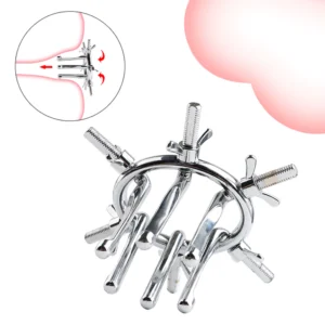 Vaginal and Anal Regulator - Image 2