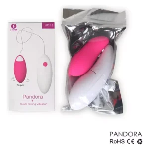 Pandora Wired 2 Piece Vibrator - Image 9