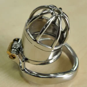 Denials Metal Chastity Lock Cage