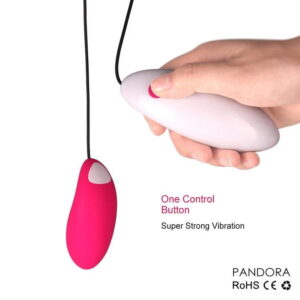 Pandora Wired 2 Piece Vibrator - Image 3
