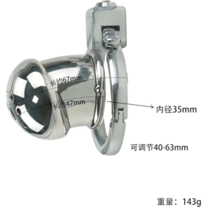 Passion Prison Chastity Lock - Image 1