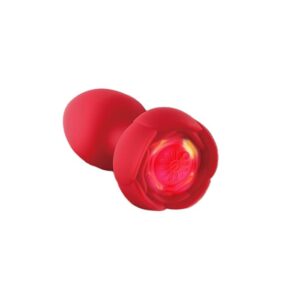 VibeTail Anal Plug Vibrator - Image 3