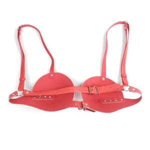 Sexy PU Bra - Image 4