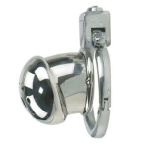 Passion Prison Chastity Lock - Image 3