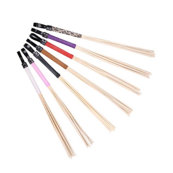 Cane-whip-1-1-1-1-1-1.jpg