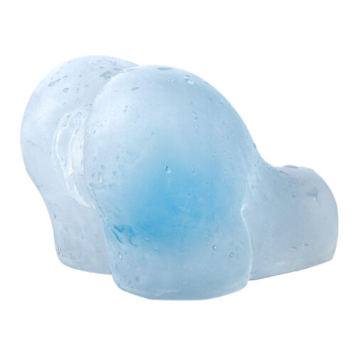 ICE