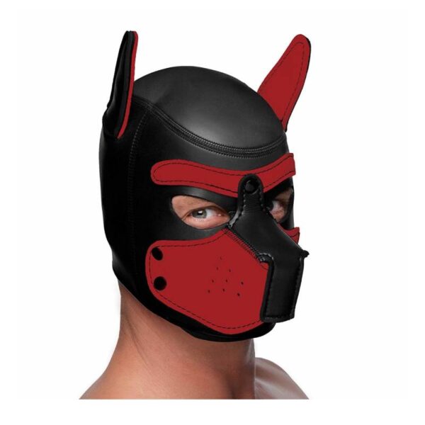 Neoprene-Puppy-Hoods.jpg