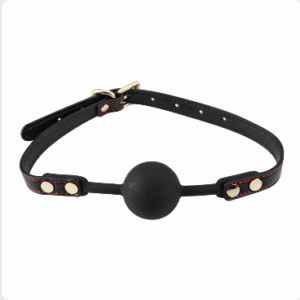 Black Beauty Leather BDSM Set - Image 5