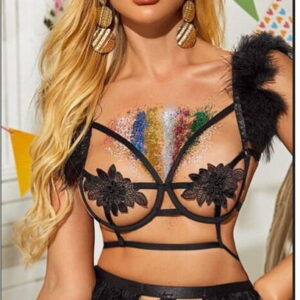 Comfy Lingerie with feathers 3 pieces