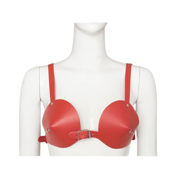 Red Sexy PU Bra Red Sexy PU Bra