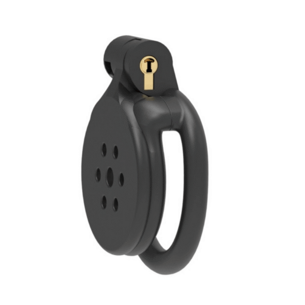Cage of Control Chastity Lock Cage of Control Chastity Lock