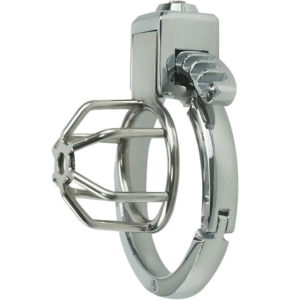 Sanctity Shield Chastity Lock - Image 1