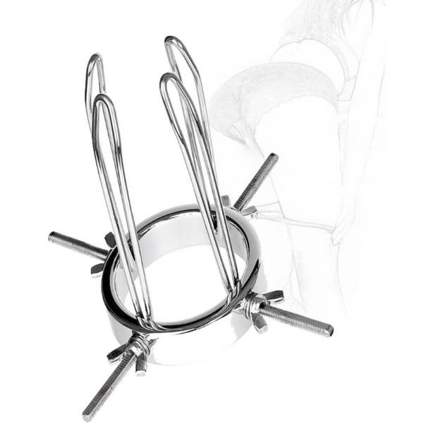 Ultimate Anal and Vaginal Dilator