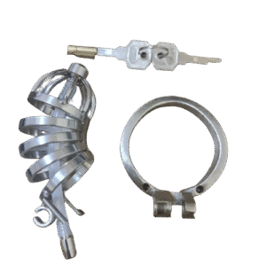 Elegance Lock Metal Penis Chastity Cage - Image 4