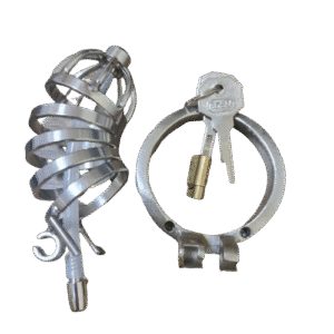Elegance Lock Metal Penis Chastity Cage - Image 5