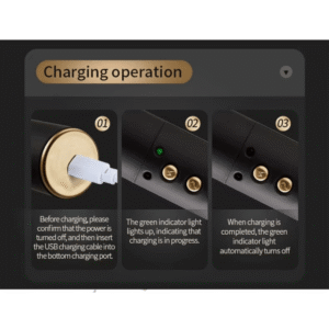 Passionate Electric Whip - Image 2