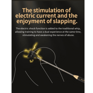 Passionate Electric Whip - Image 3