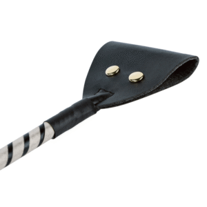 Passionate Electric Whip - Image 7